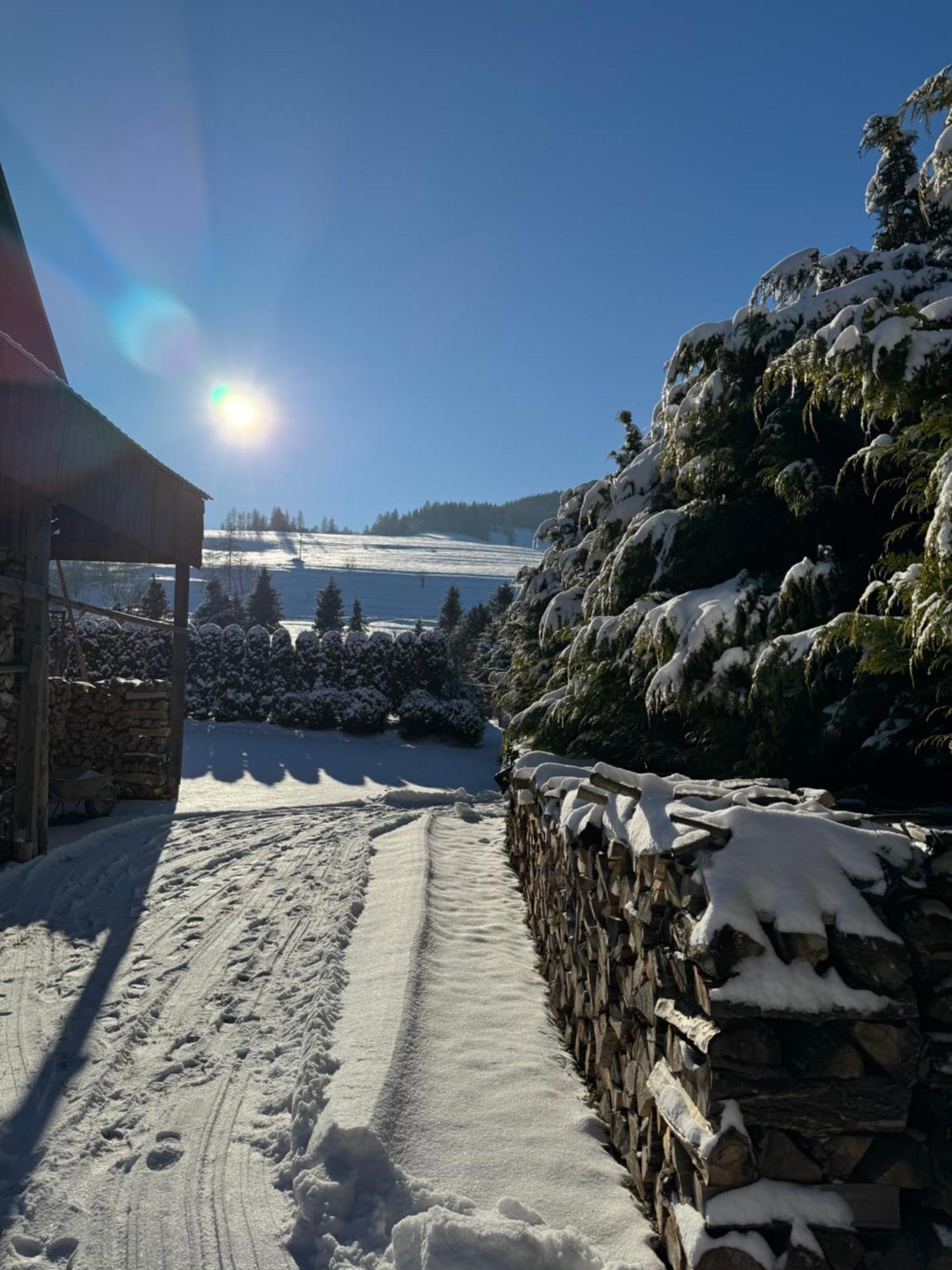 Appartamento Lutra Montana Relov Esterno foto
